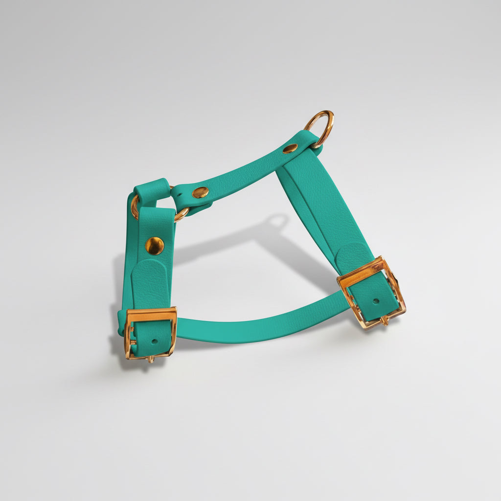 Arnés HONEY de Biothane - Elegancia y forma en H