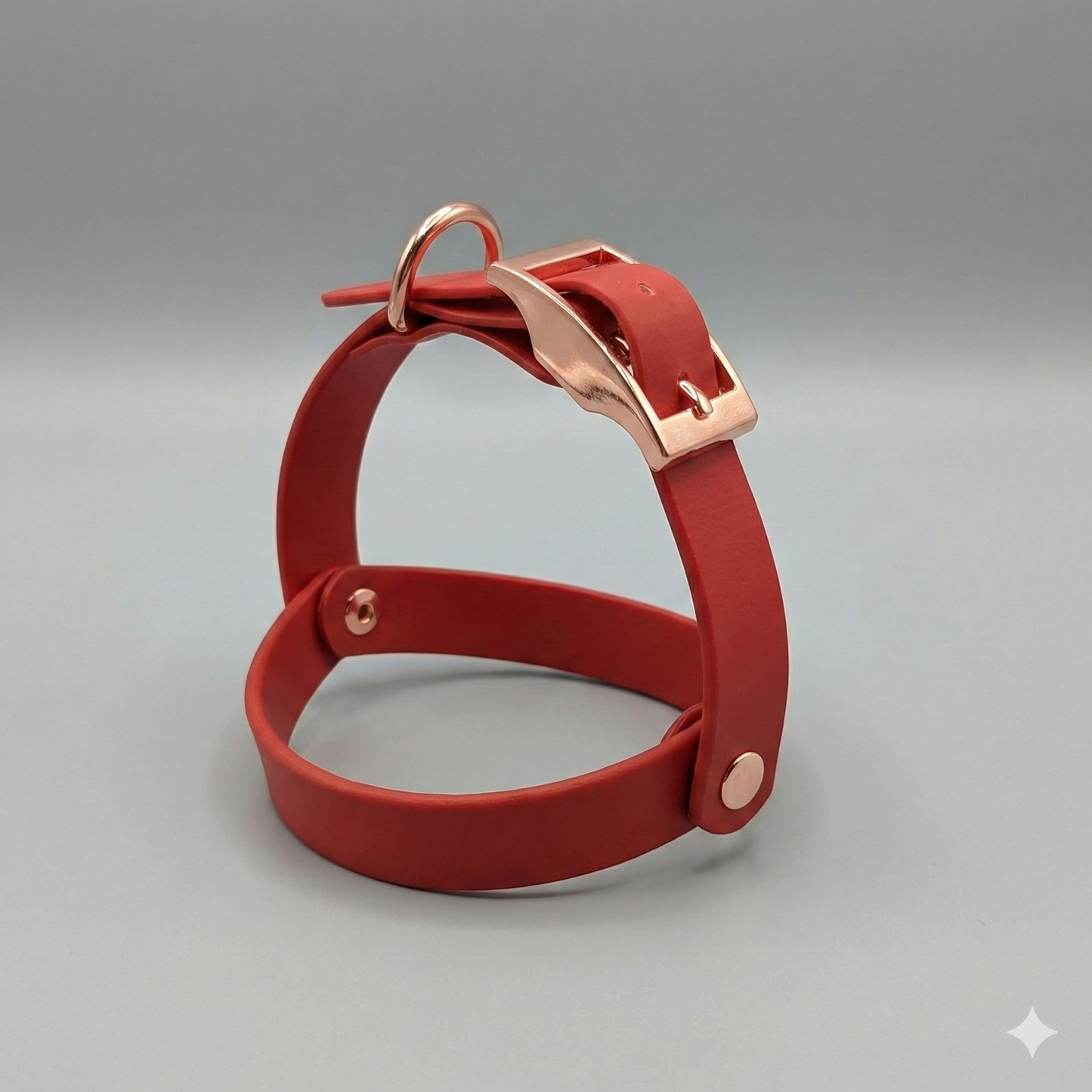 Arnés TEDDY BEAR Biothane