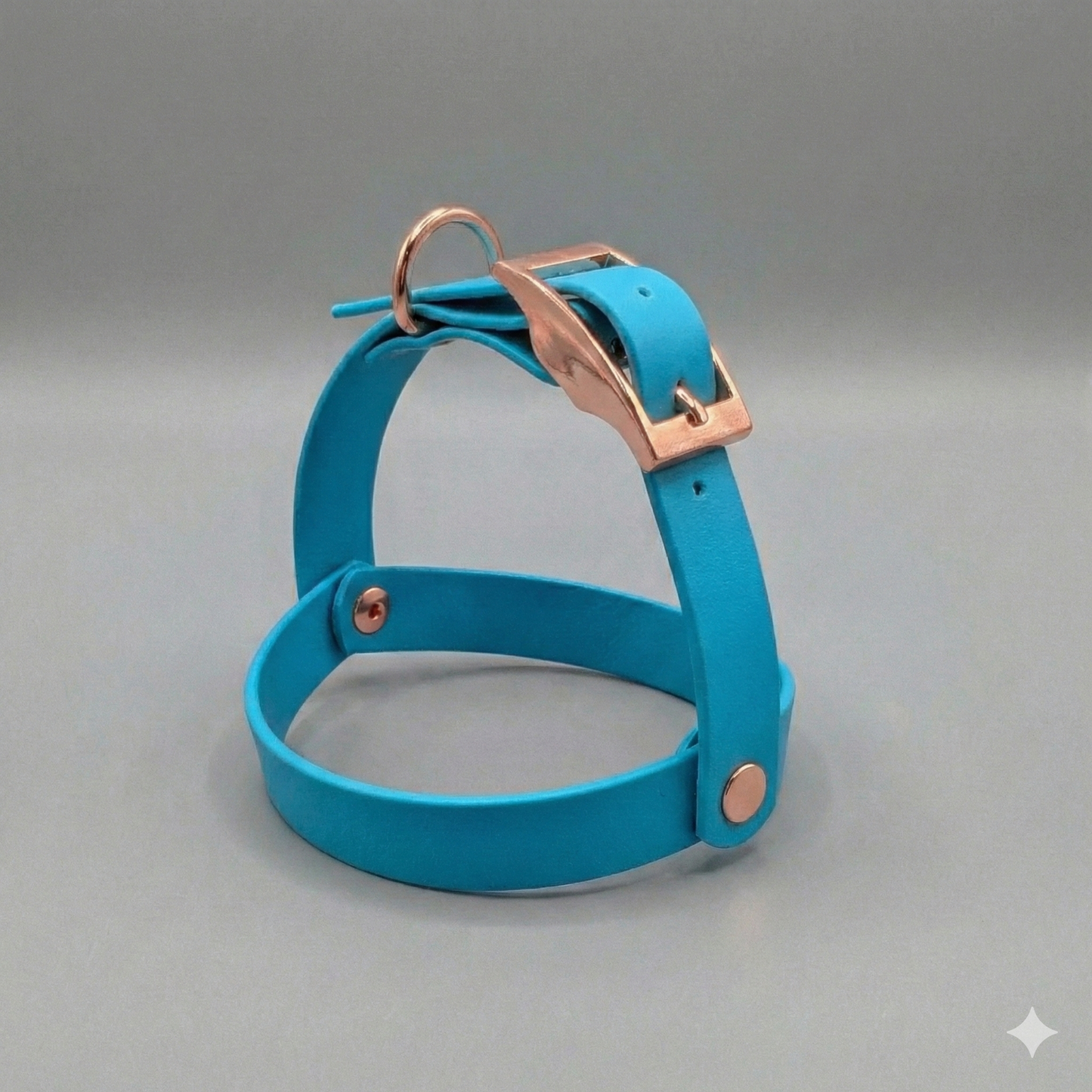 Arnés TEDDY BEAR Biothane