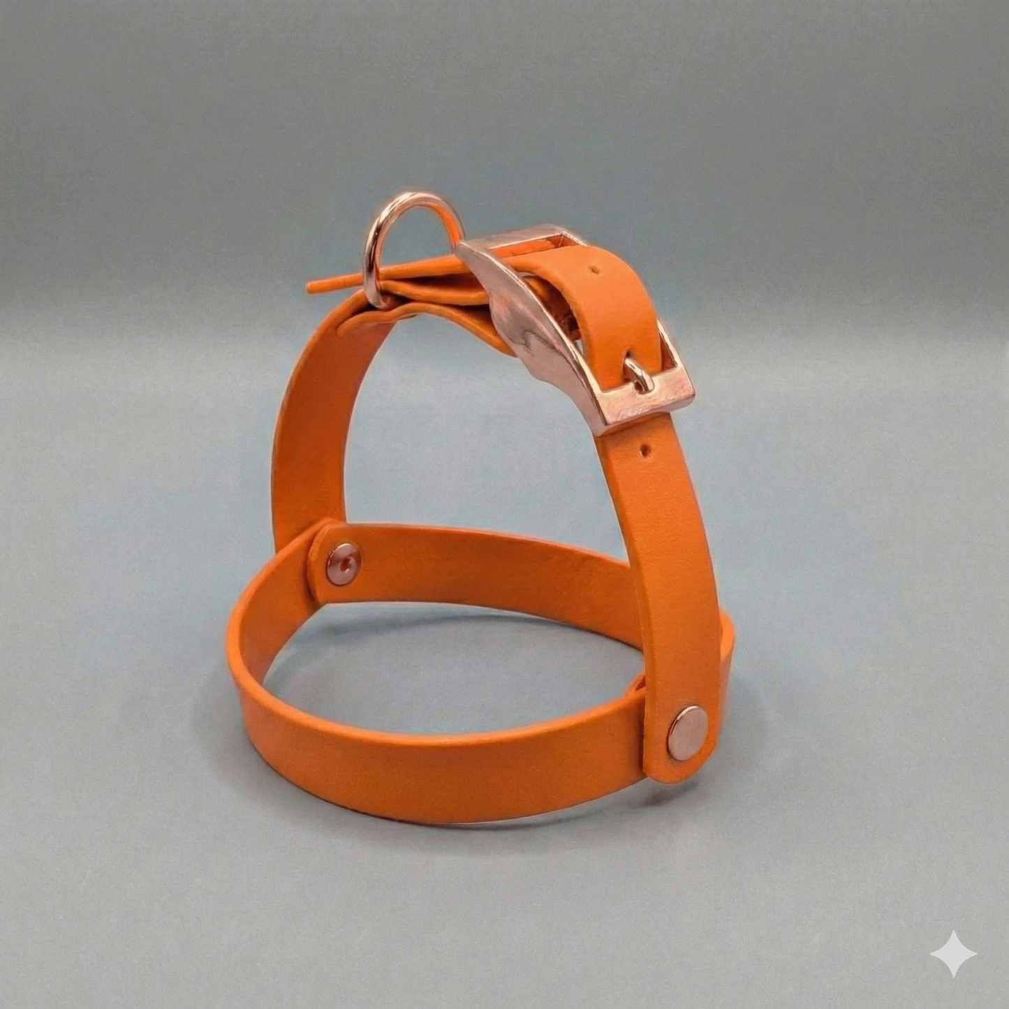 Arnés TEDDY BEAR Biothane