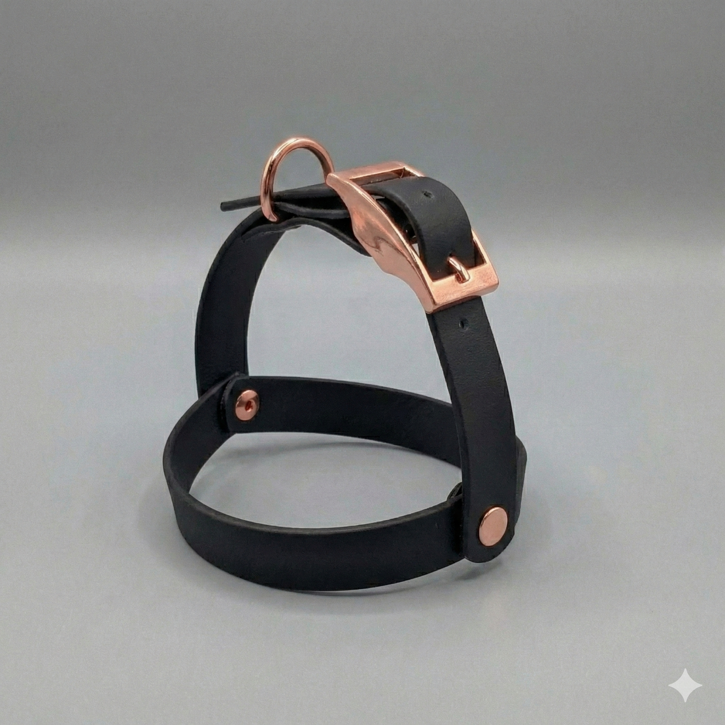 Arnés TEDDY BEAR Biothane