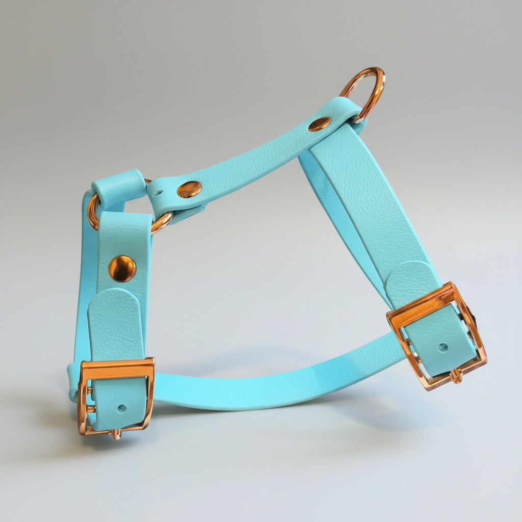 Arnés HONEY de Biothane - Elegancia y forma en H