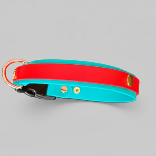 Collar Ziro VERSA: El Primer Collar "Snap-on" 3 en 1