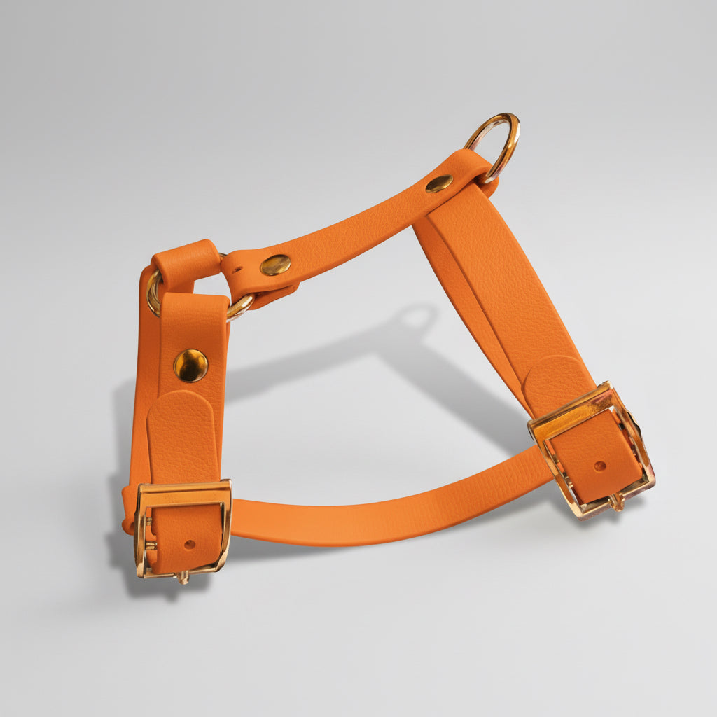 Arnés HONEY de Biothane - Elegancia y forma en H