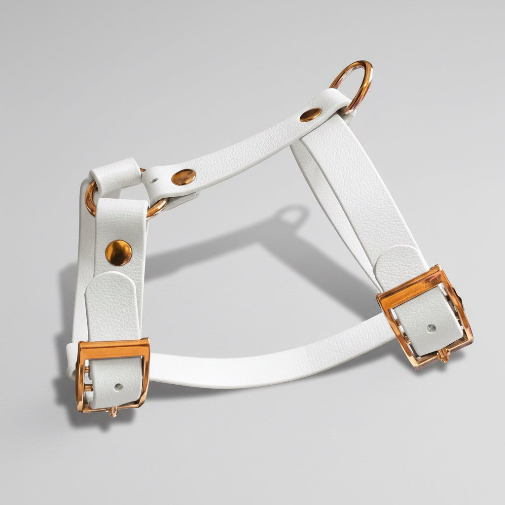 Arnés HONEY de Biothane - Elegancia y forma en H