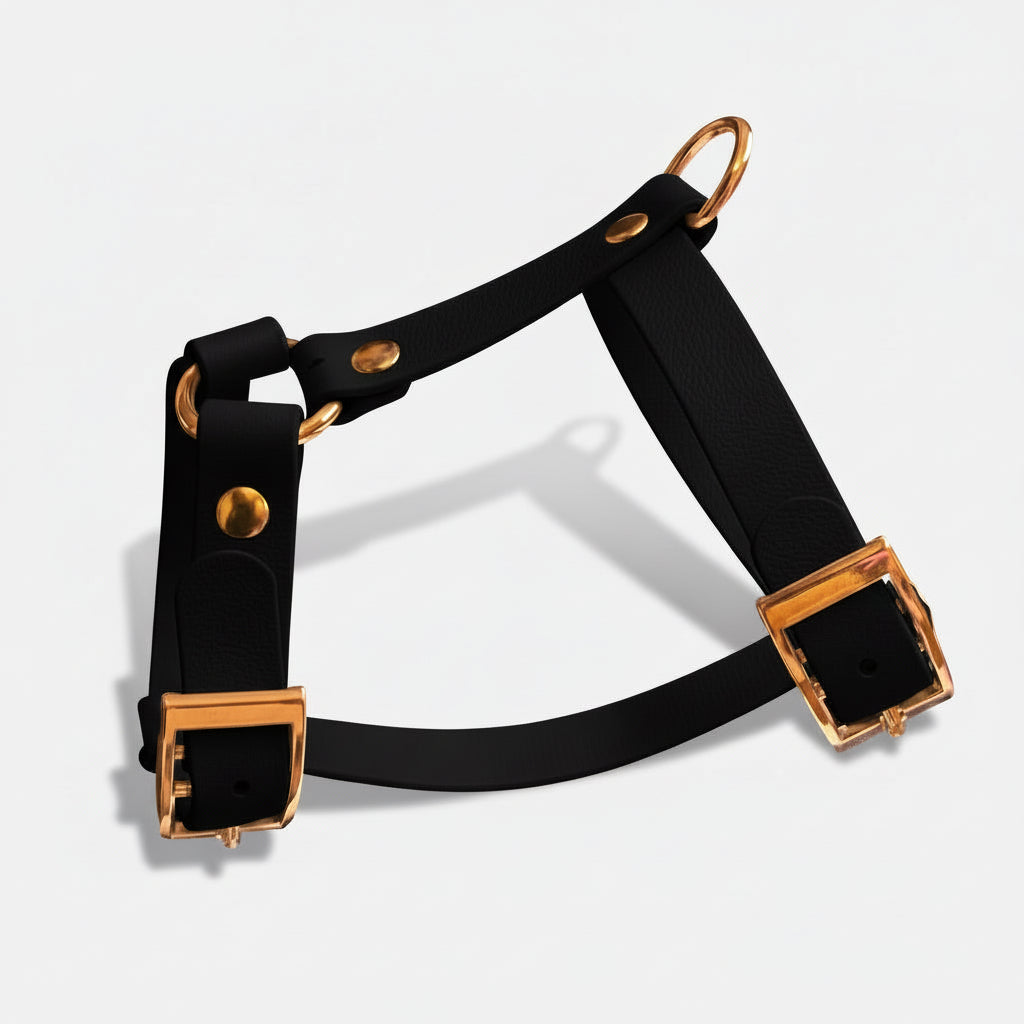 Arnés HONEY de Biothane - Elegancia y forma en H