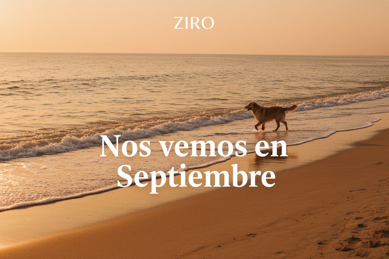 Nos vemos en Septiembre - ZIRO